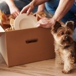 Moving with Kids and Pets – Tips for a Stress-Free Relocation Experience