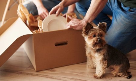 Moving with Kids and Pets – Tips for a Stress-Free Relocation Experience